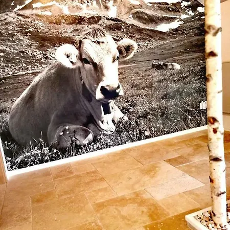 Ferienhaus-schiemann Otel