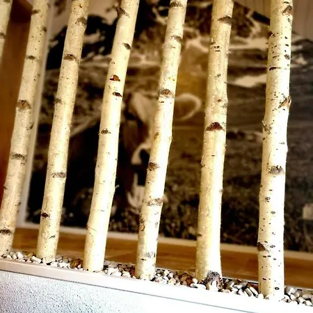 Ferienhaus-schiemann Kißlegg