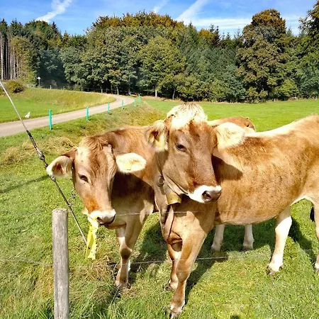 Ferienhaus-schiemann Otel Kißlegg