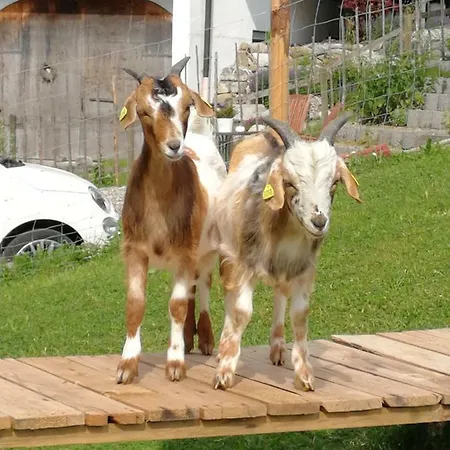 Ferienhaus-schiemann