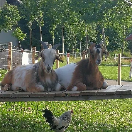 Otel Ferienhaus-schiemann