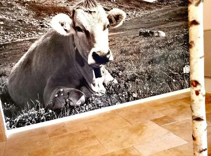 Ferienhaus-schiemann Szálloda